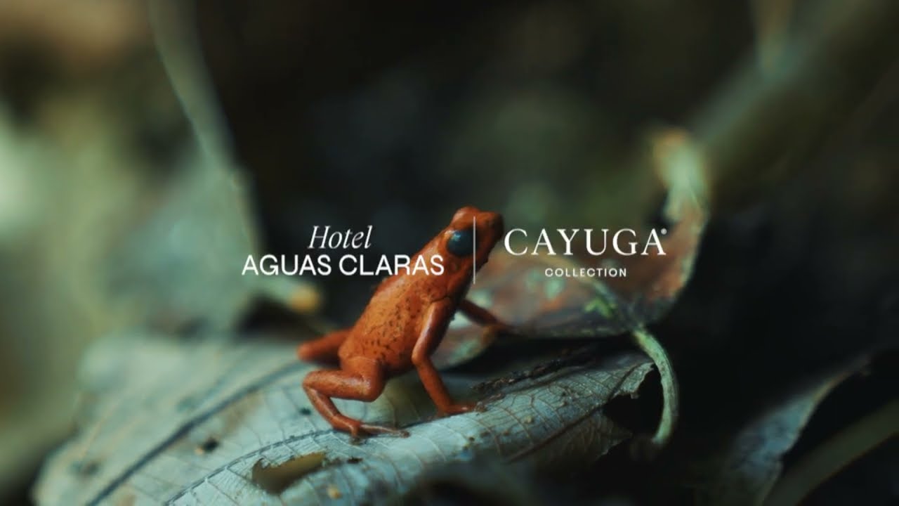 Experience Hotel Aguas Claras, Puerto Viejo, Costa Rica