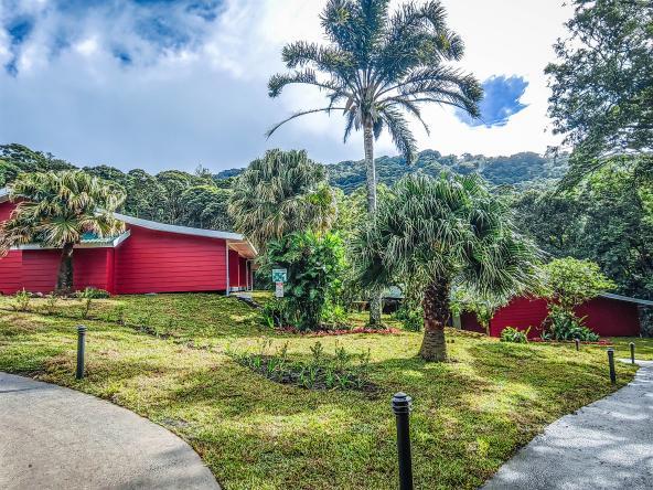 Cloud Forest Lodge - Anlage