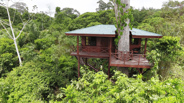 Maquenque Eco Lodge - Baumhaus