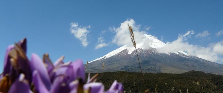 Cotopaxi Straße der Vulkane Ecuador Südamerika 