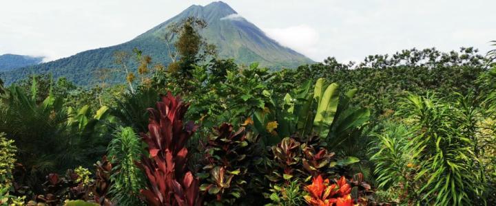 Vulkan Arenal Nationalpark Costa Rica 