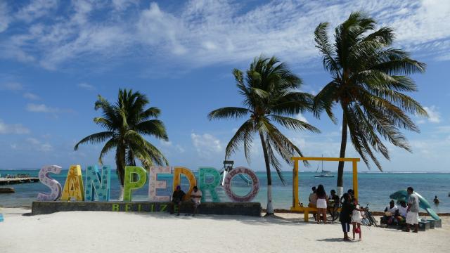 San Pedro Palmen Ambergris Caye Belize Mittelamerika Amerika Plus Reisen