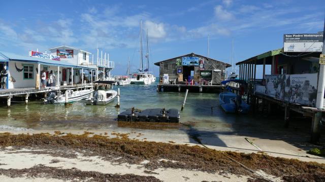Belize Ausflüge Ambergris Caye Mittelamerika 