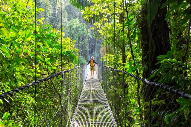 Mietwagenreisen Mittelamerika Hängebrücke Dschungel Costa Rica