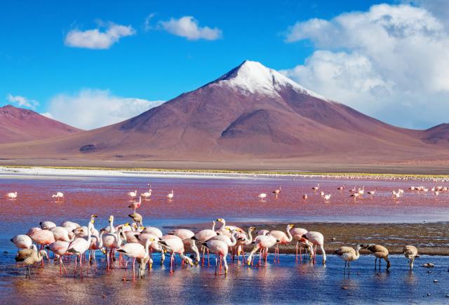 Bolivien Laguna Colorada Südamerika Anden Amerika Plus Reisen