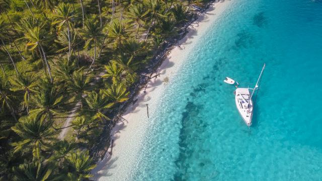 Panama Strand türkisfarbenes Meer Badeurlaub Palmen Mittelamerika
