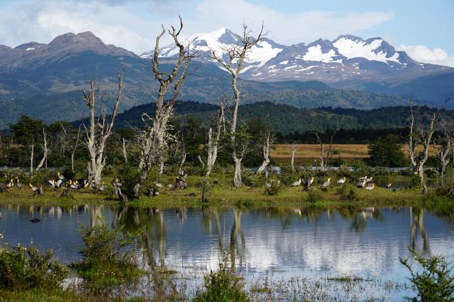 Patagonien Feuerland Chile Argentinien windgepeitscht Amerika Plus Reisen