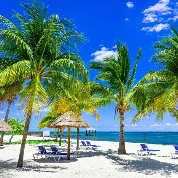 Quintana Roo Mexiko Yucatan Strand Palmen Nordamerika Lateinamerika