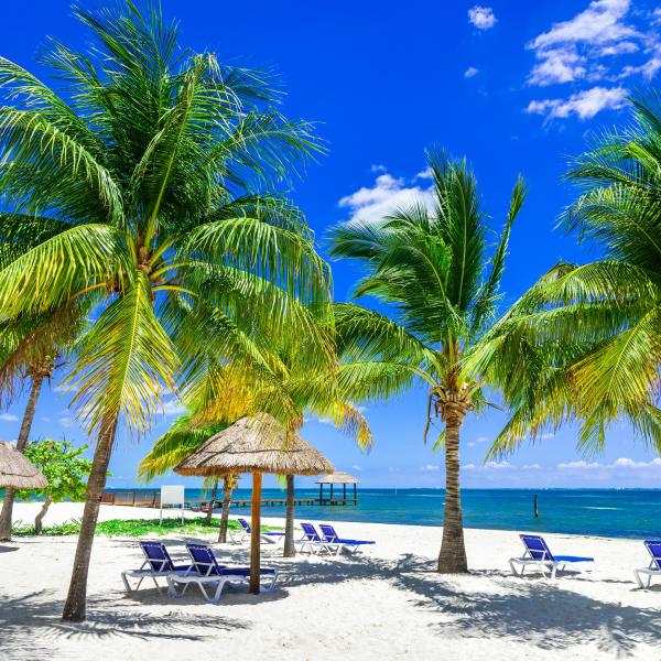 Quintana Roo Mexiko Yucatan Strand Palmen Nordamerika Lateinamerika