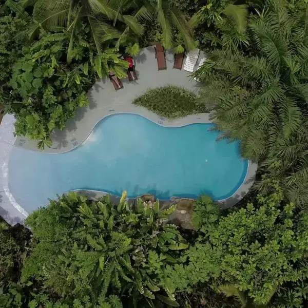Maquenque Eco Lodge - Pool