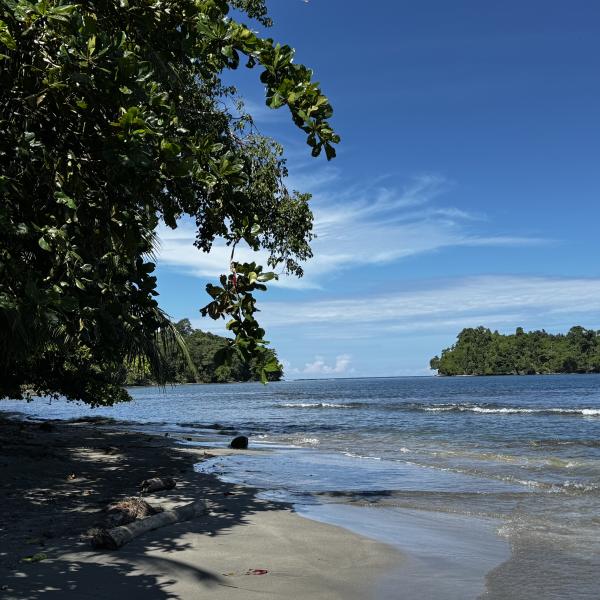 Tropisches Paradies