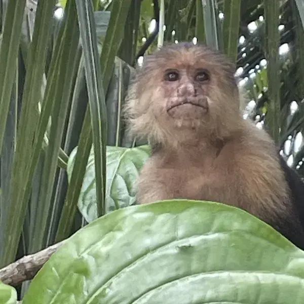 Costa Rica