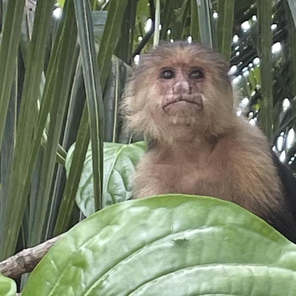 Costa Rica