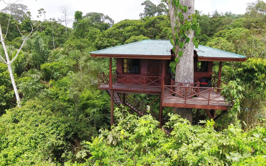 Maquenque Eco Lodge - Baumhaus